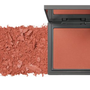 رژگونه شماره 113 آلیکس اوین پاریس